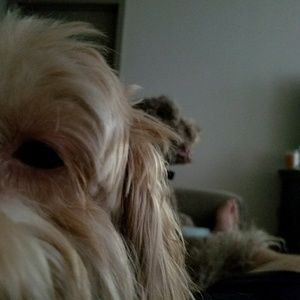 Meet your Posher, Sean